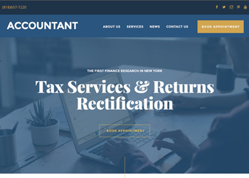 Accountants